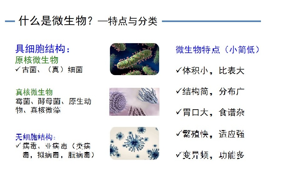 综述：全球塑料废物管理中微生物塑料生物降解的热点与趋势：一项小型综述与文献计量分析